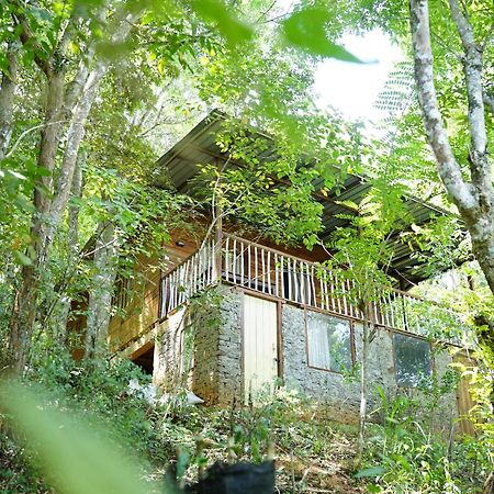 Polwaththa Eco Lodges Digana Exteriér fotografie