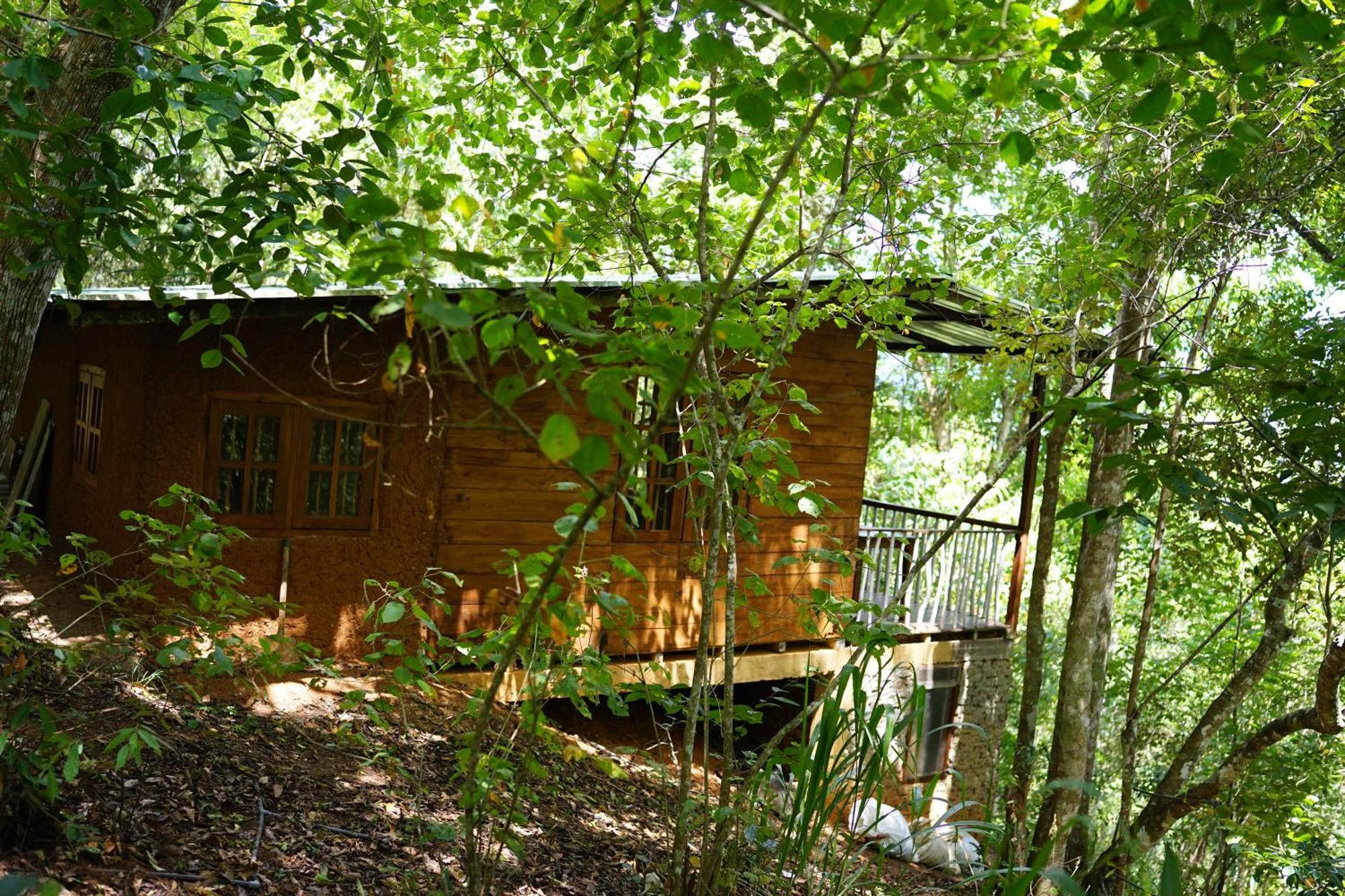 Polwaththa Eco Lodges Digana Exteriér fotografie