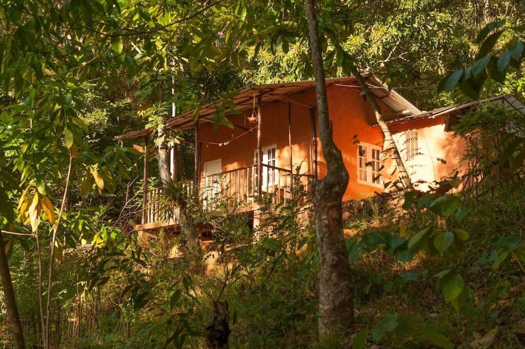 Polwaththa Eco Lodges Digana Exteriér fotografie