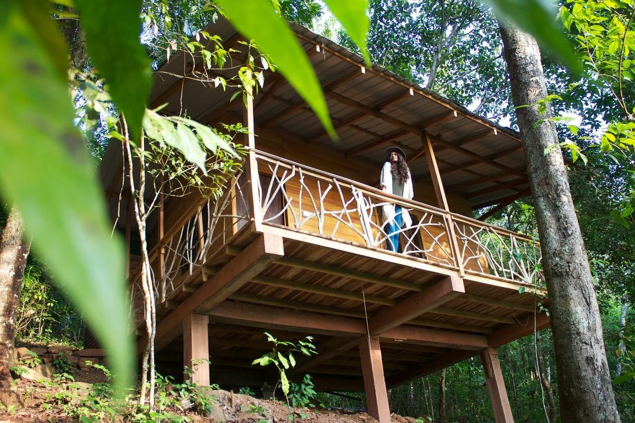 Polwaththa Eco Lodges Digana Exteriér fotografie