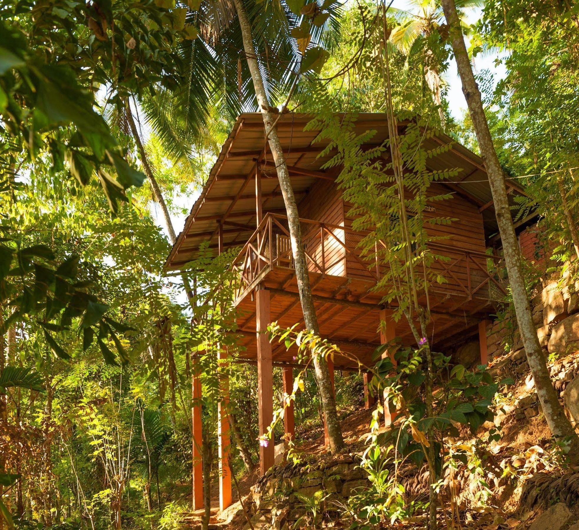 Polwaththa Eco Lodges Digana Exteriér fotografie