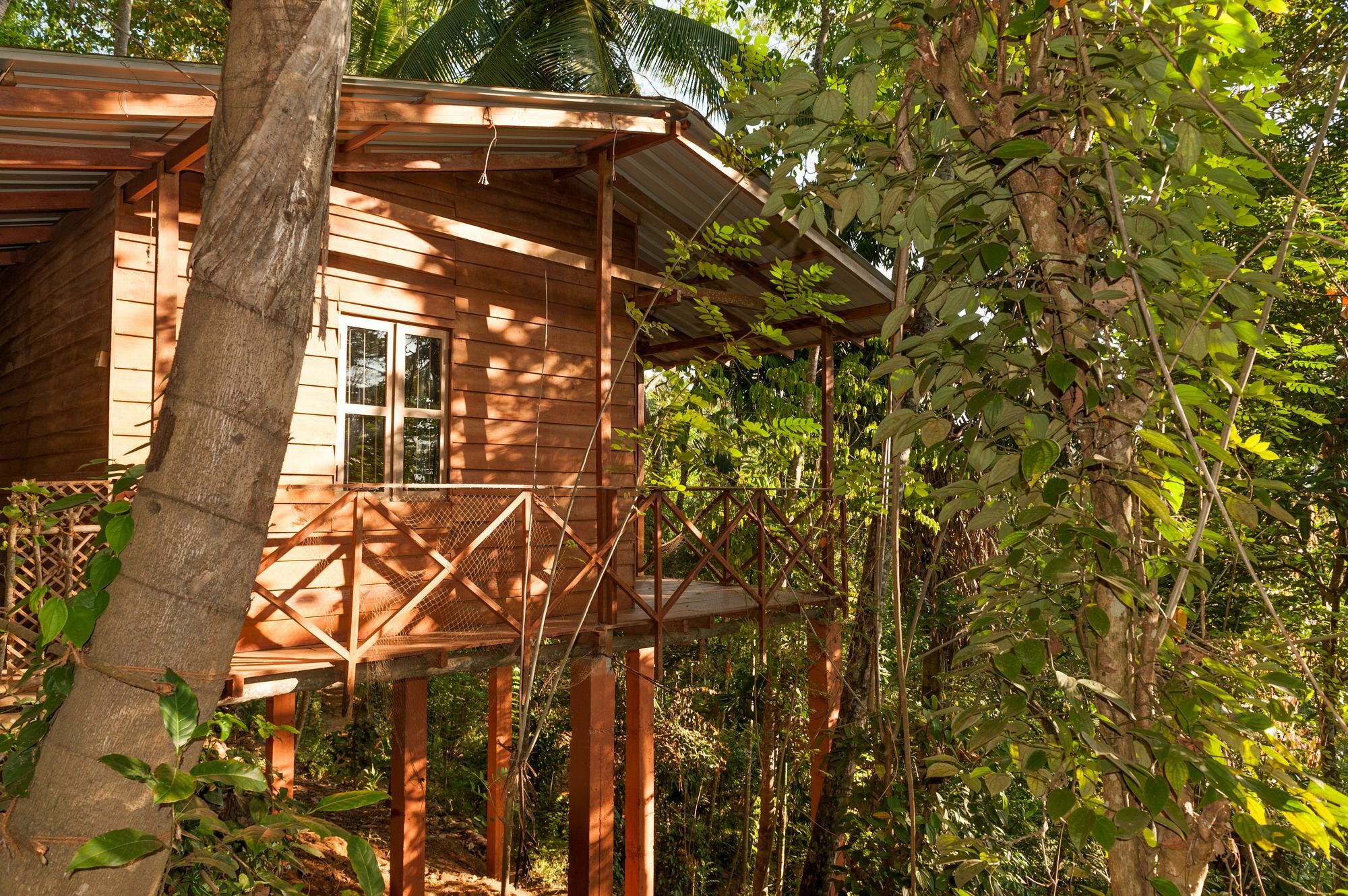 Polwaththa Eco Lodges Digana Exteriér fotografie